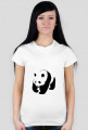 Bao bao