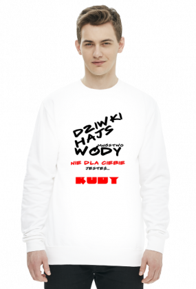 Bluza męska "Dziwki, Hajs"
