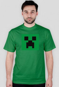 Minecraft #1
