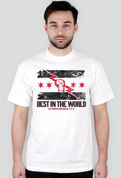 CM Punk Best In The World