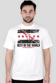 CM Punk Best In The World