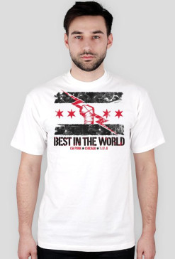 CM Punk Best In The World