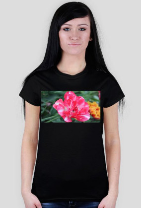 Pink flower