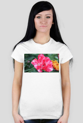 Pink flower