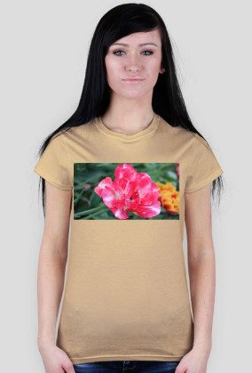 Pink flower