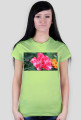 Pink flower