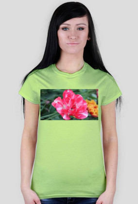 Pink flower