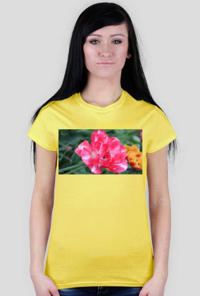 Pink flower