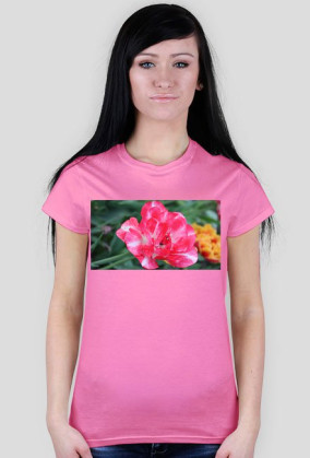 Pink flower