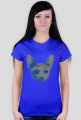 Blue Cat
