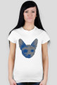 Blue Cat