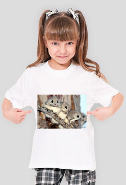 wiewiorreczki