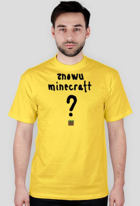 znowu minecraft ?