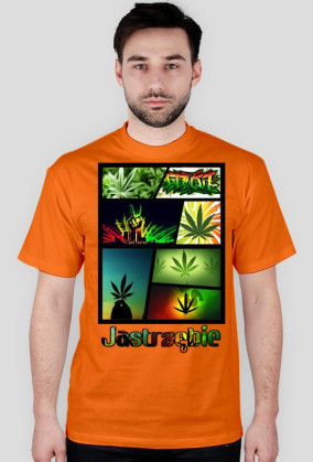 Jastrzębie