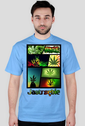 Jastrzębie