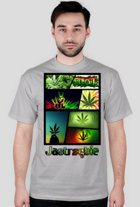 Jastrzębie