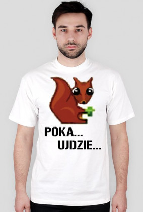 POKA UJDZIE...