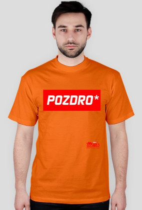TTZMS wear / POZDRO
