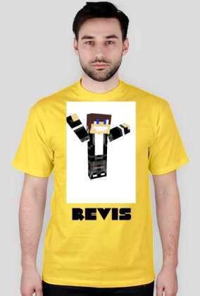 ReVis -Skin