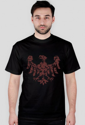 Śląsk Silesia