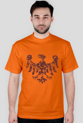 Śląsk Silesia