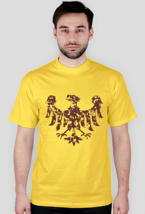 Śląsk Silesia