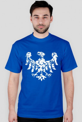 Śląsk Silesia