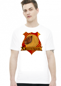 Koszulka Harry Potter Gryffindor