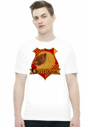 Koszulka Harry Potter Gryffindor