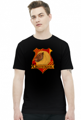 Koszulka Harry Potter Gryffindor