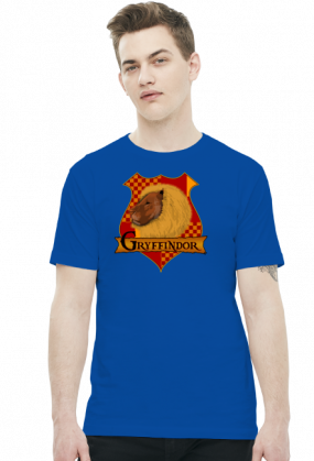 Koszulka Harry Potter Gryffindor