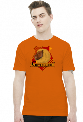 Koszulka Harry Potter Gryffindor