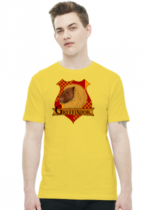 Koszulka Harry Potter Gryffindor