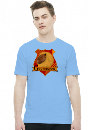 Koszulka Harry Potter Gryffindor