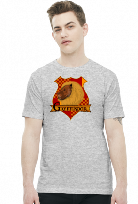 Koszulka Harry Potter Gryffindor