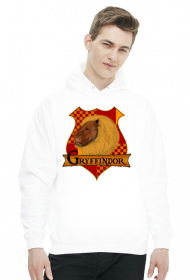 Bluza Harry Potter Gryffindor kaptur