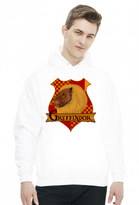 Bluza Harry Potter Gryffindor kaptur