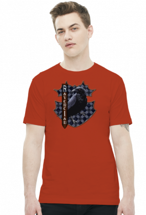 Koszulka Harry Potter Ravenclaw