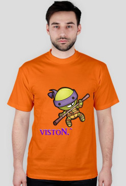 VistoN1