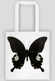Acorn Butterfly Bag