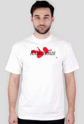 Karkonosze