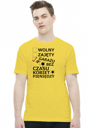 wolny czy zajęty? inne wersje kolorystyczne