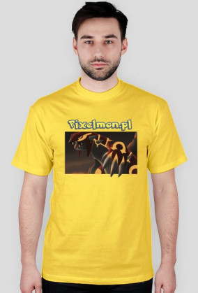 Koszulka nadruk dwustronny Pokemon