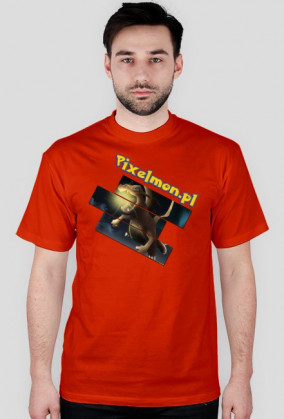 Koszulka nadruk dwustronny Pokemon