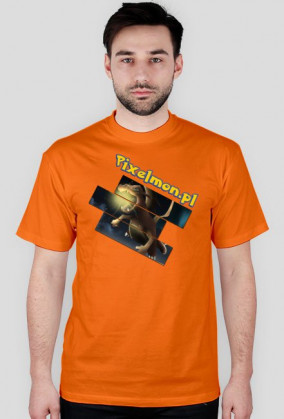 Koszulka nadruk dwustronny Pokemon