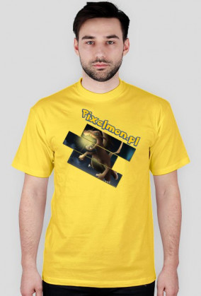 Koszulka nadruk dwustronny Pokemon