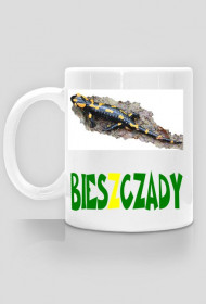 Bieszczady