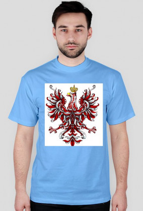 Orzeł