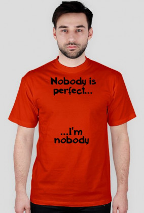 nobody is perfect