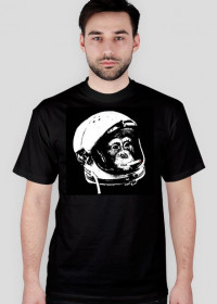 Monkey spaceman